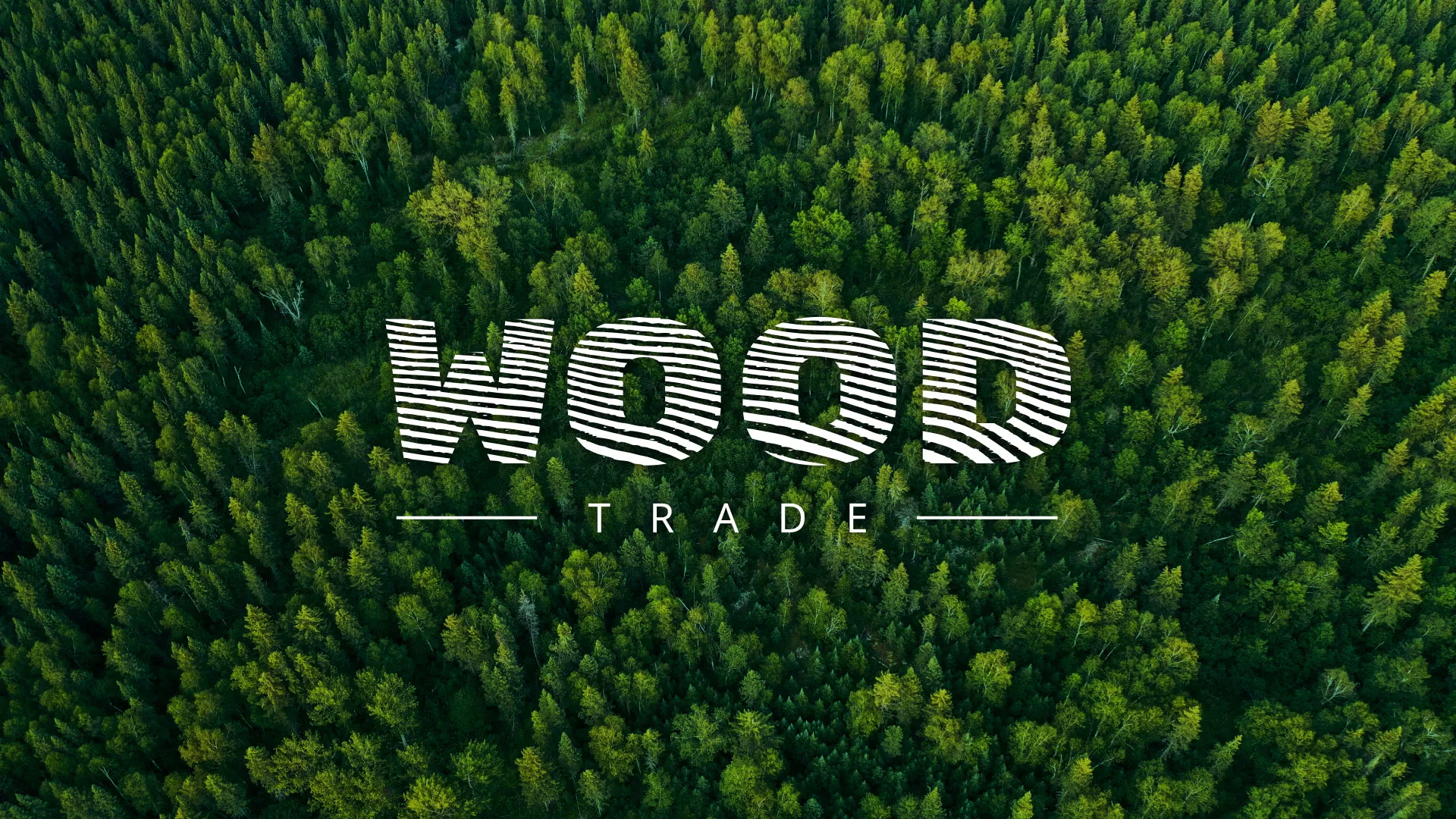 Разработка интернет-магазина компании «Wood Trade» в Кондрово
